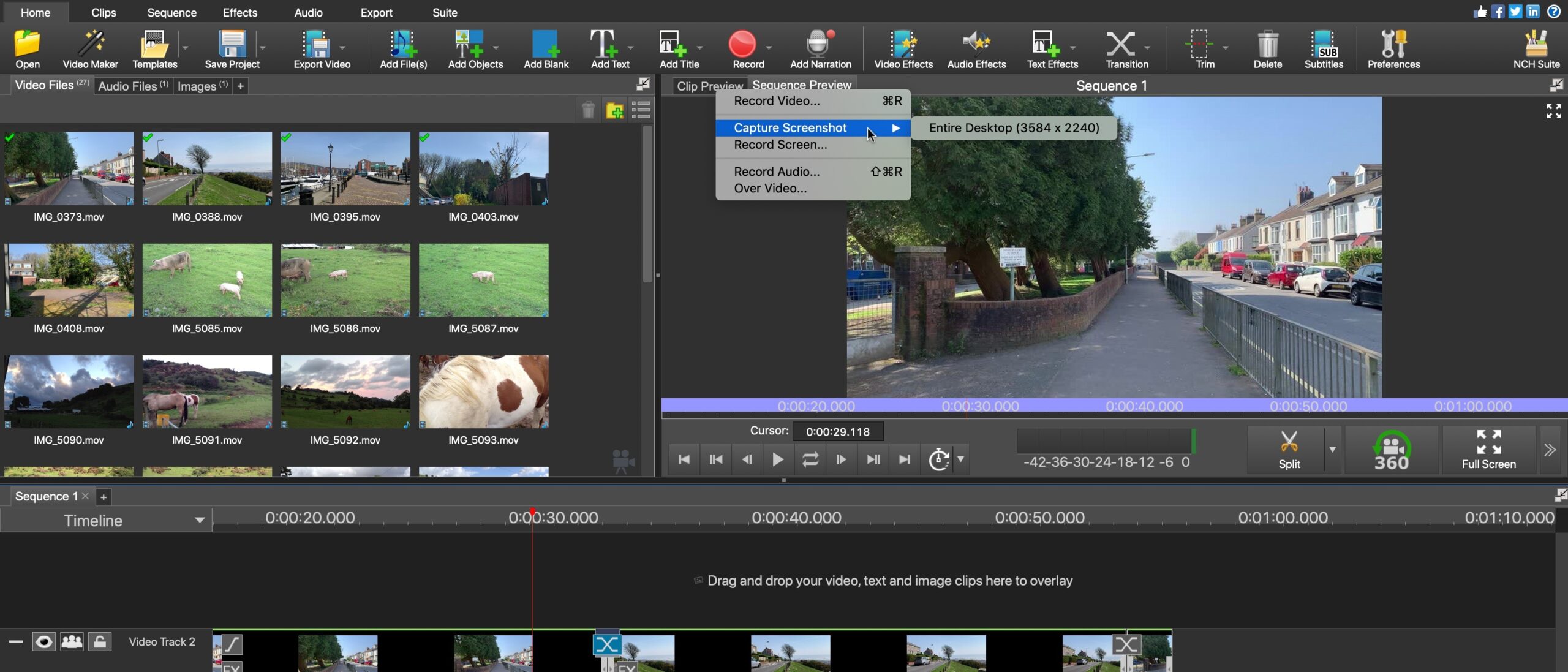 Video Editing Software